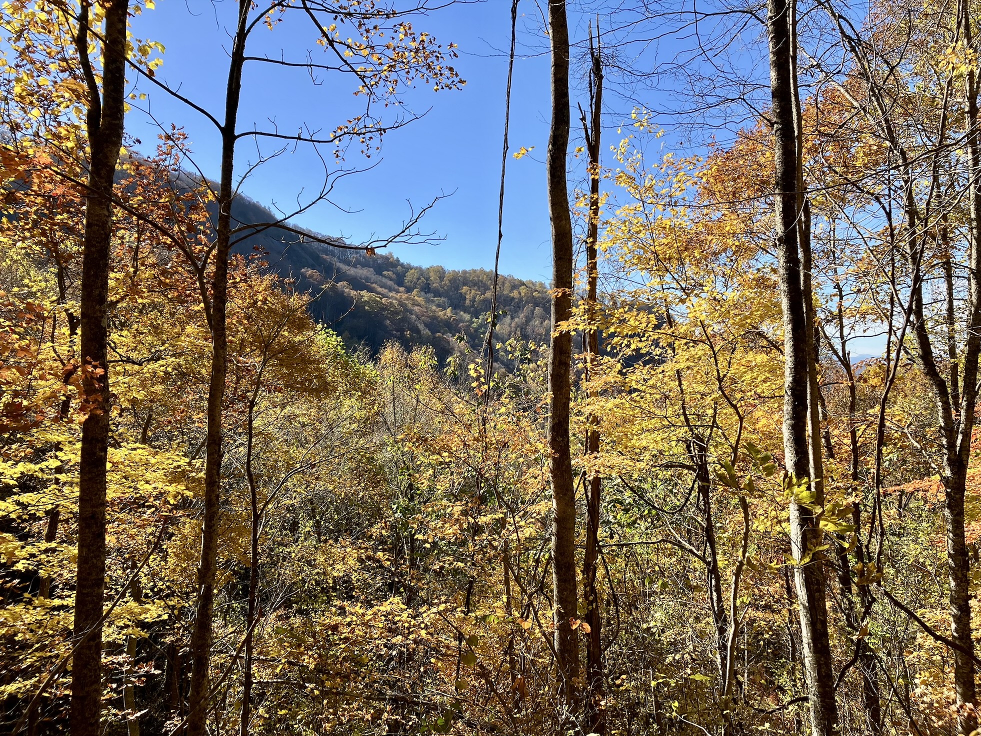 October 2025 success metrics or visual representation