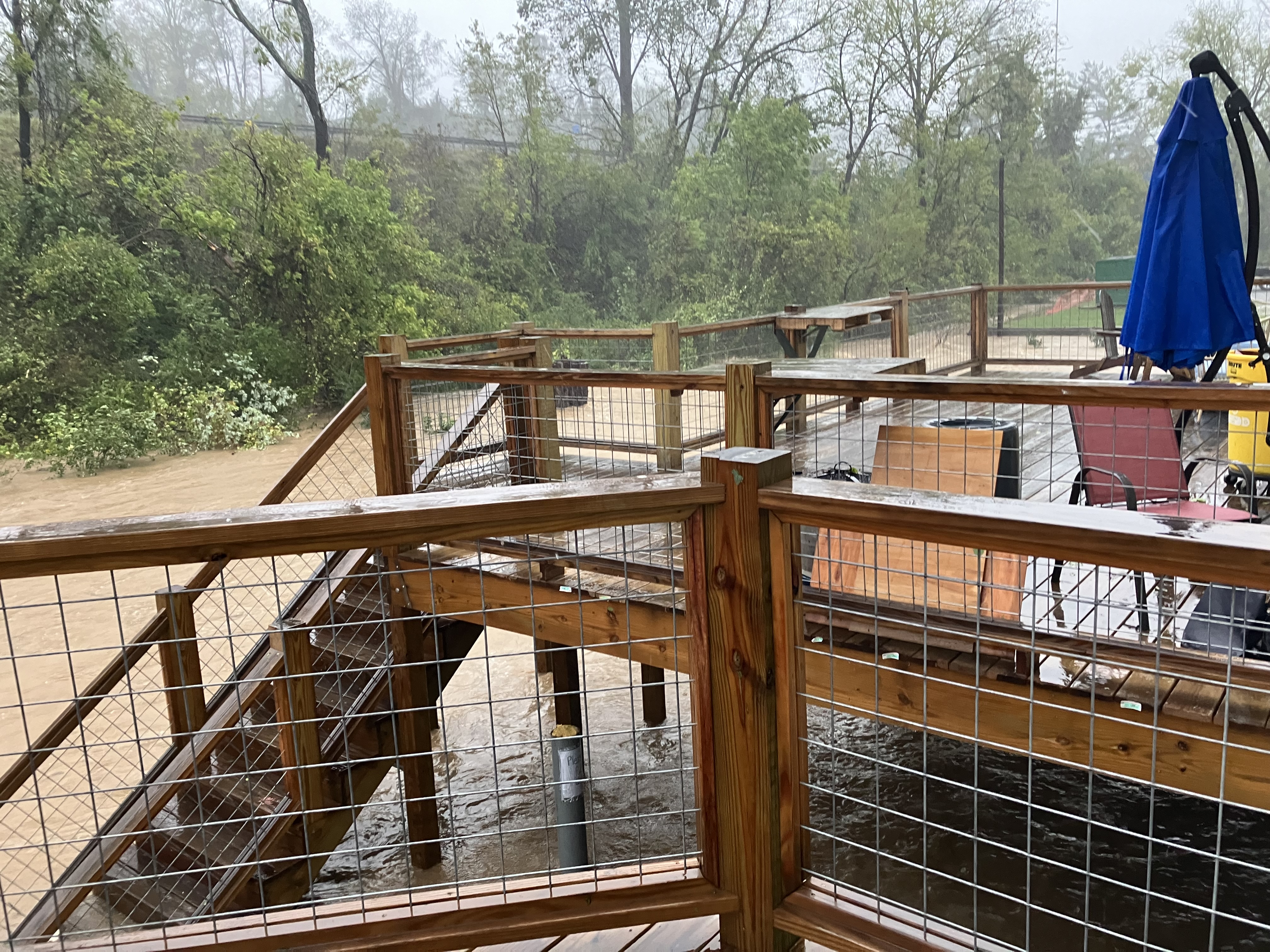 Backyard during Hurricane Helene flooding