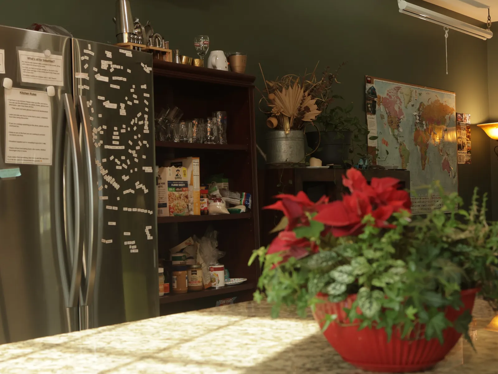 Hostel kitchen with the fridge and shared amenities