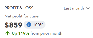 Profit & Loss summary for June 2025